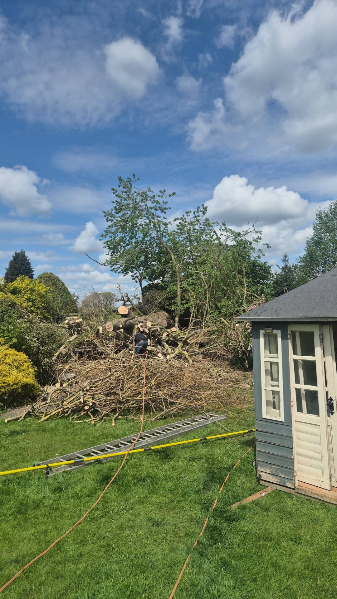 Garden cleared after large tree dismantling job by RJ Hutchinson Tree Services